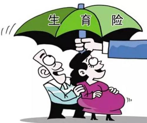 女性生育保險能報多少錢？ 第1張