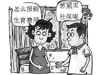 生育保險新規(guī) 第1張 生育保險新規(guī) 第1張