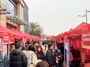 “百米小巷”人潮涌動！瑞方人力助力2025年武侯區(qū)春風行動專場招聘會“開門紅” 第5張